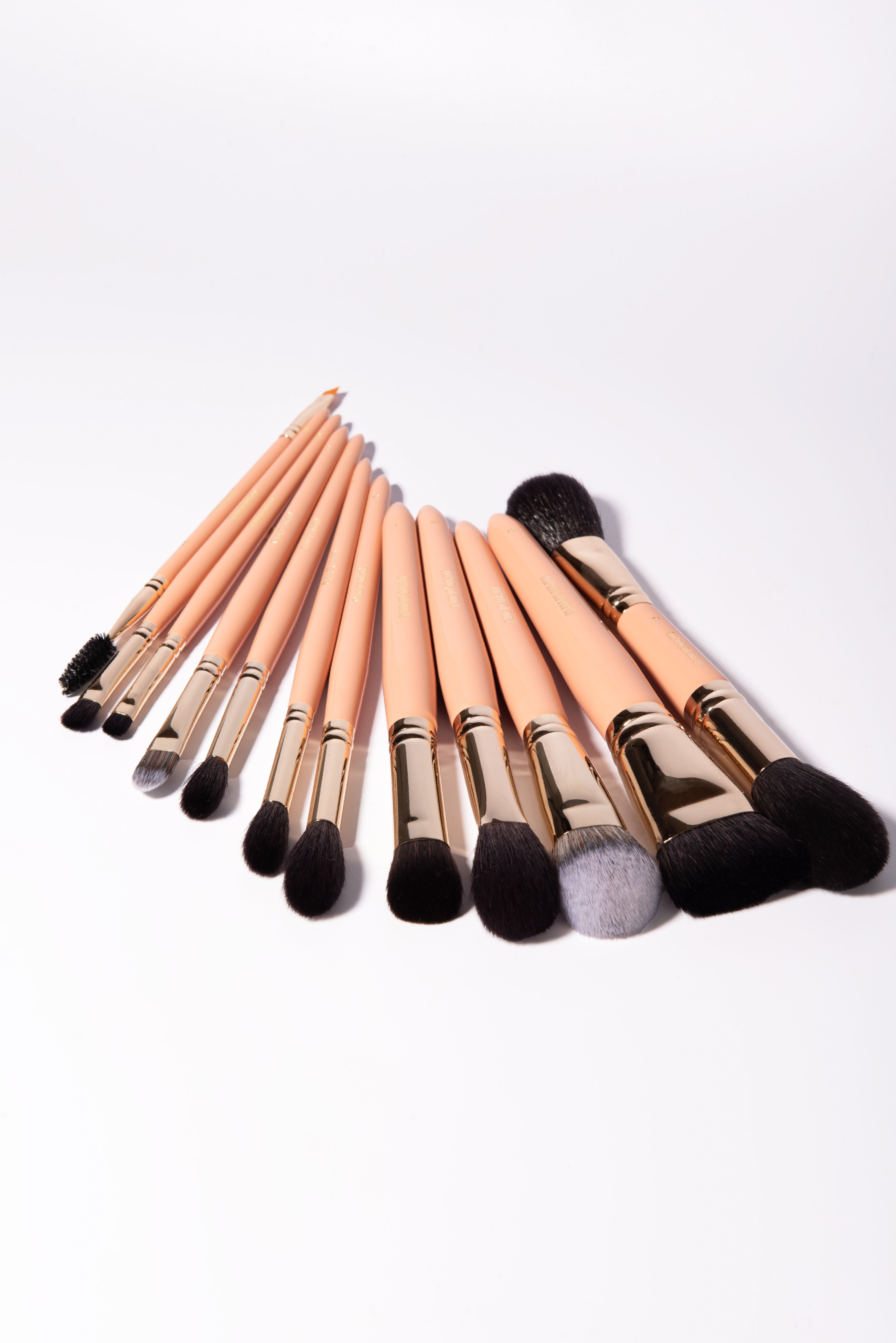 Pinceau Highlighter multifonction